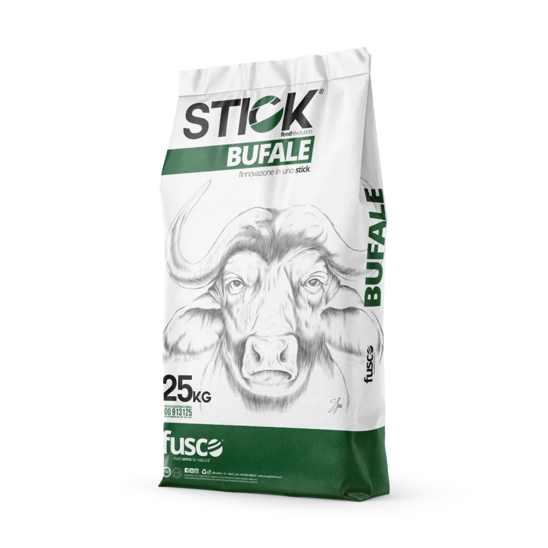 STICK ASCIUTTA - immagine 2